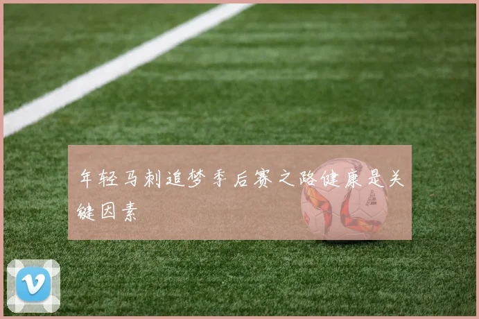 年轻马刺追梦季后赛之路健康是关键因素