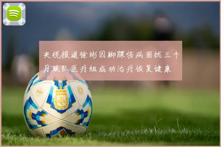 央视报道徐彬因脚踝伤病困扰三个月狼队医疗组成功治疗恢复健康