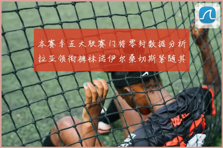 本赛季五大联赛门将零封数据分析拉亚领衔裤袜诺伊尔桑切斯紧随其后