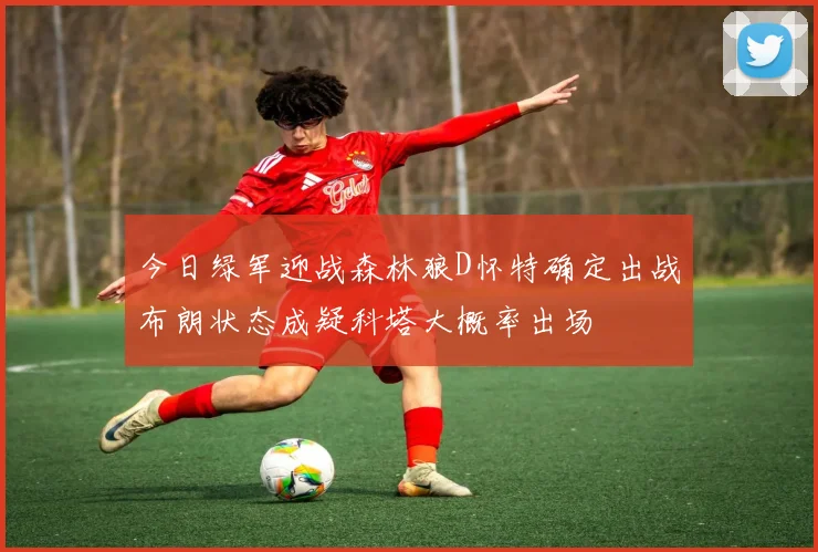 今日绿军迎战森林狼D怀特确定出战布朗状态成疑科塔大概率出场