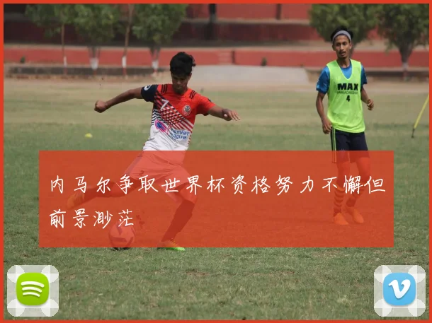 内马尔争取世界杯资格努力不懈但前景渺茫