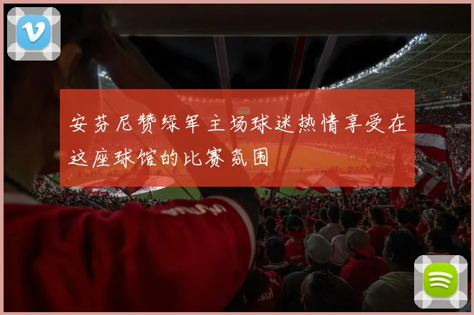 安芬尼赞绿军主场球迷热情享受在这座球馆的比赛氛围