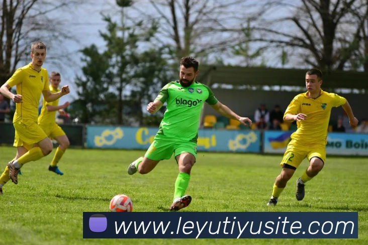 多媒体互动体验